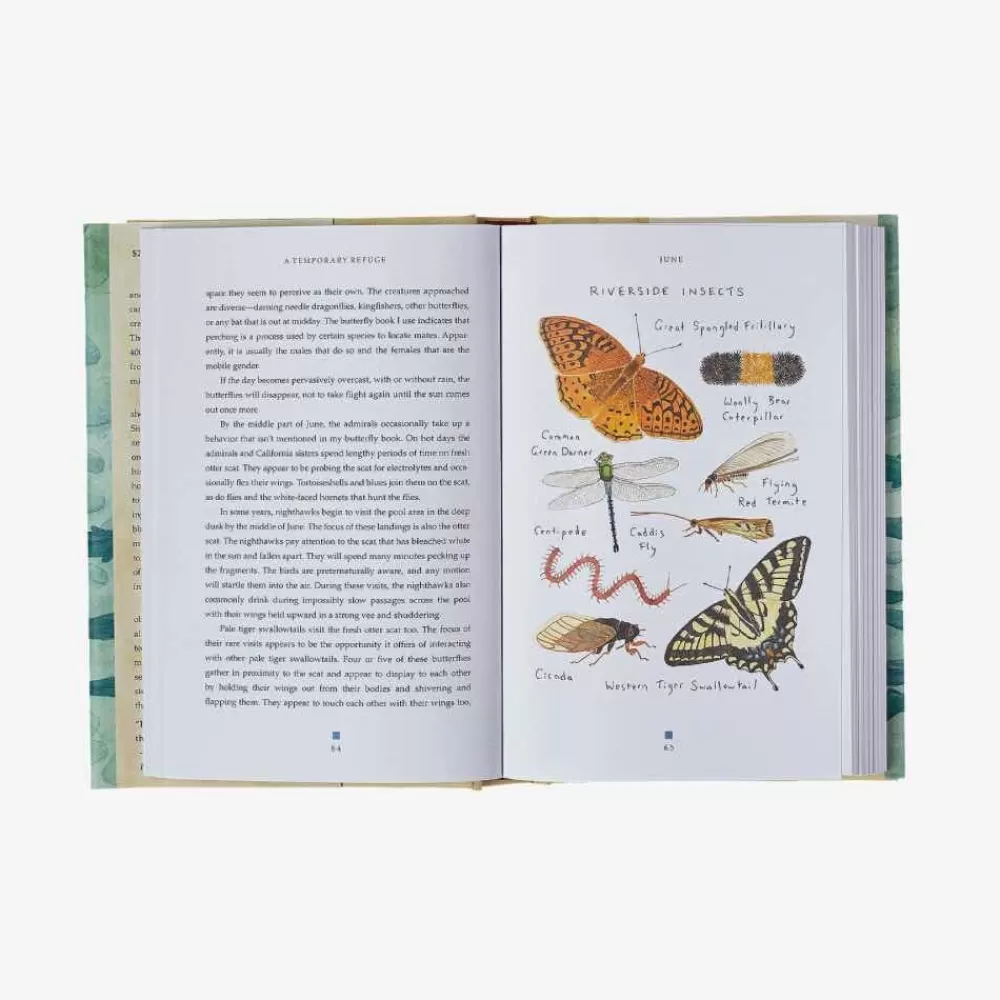 Hot A Temporary Refuge: Fourteen Seasons With Wild Summer Steelhead By Lee Spencer Kirjat Ja Oppaat