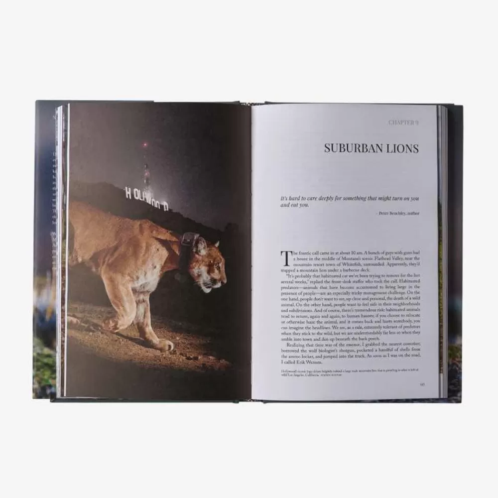 Hot Path Of The Puma: The Remarkable Resilience Of The Mountain Lion Kirjat Ja Oppaat