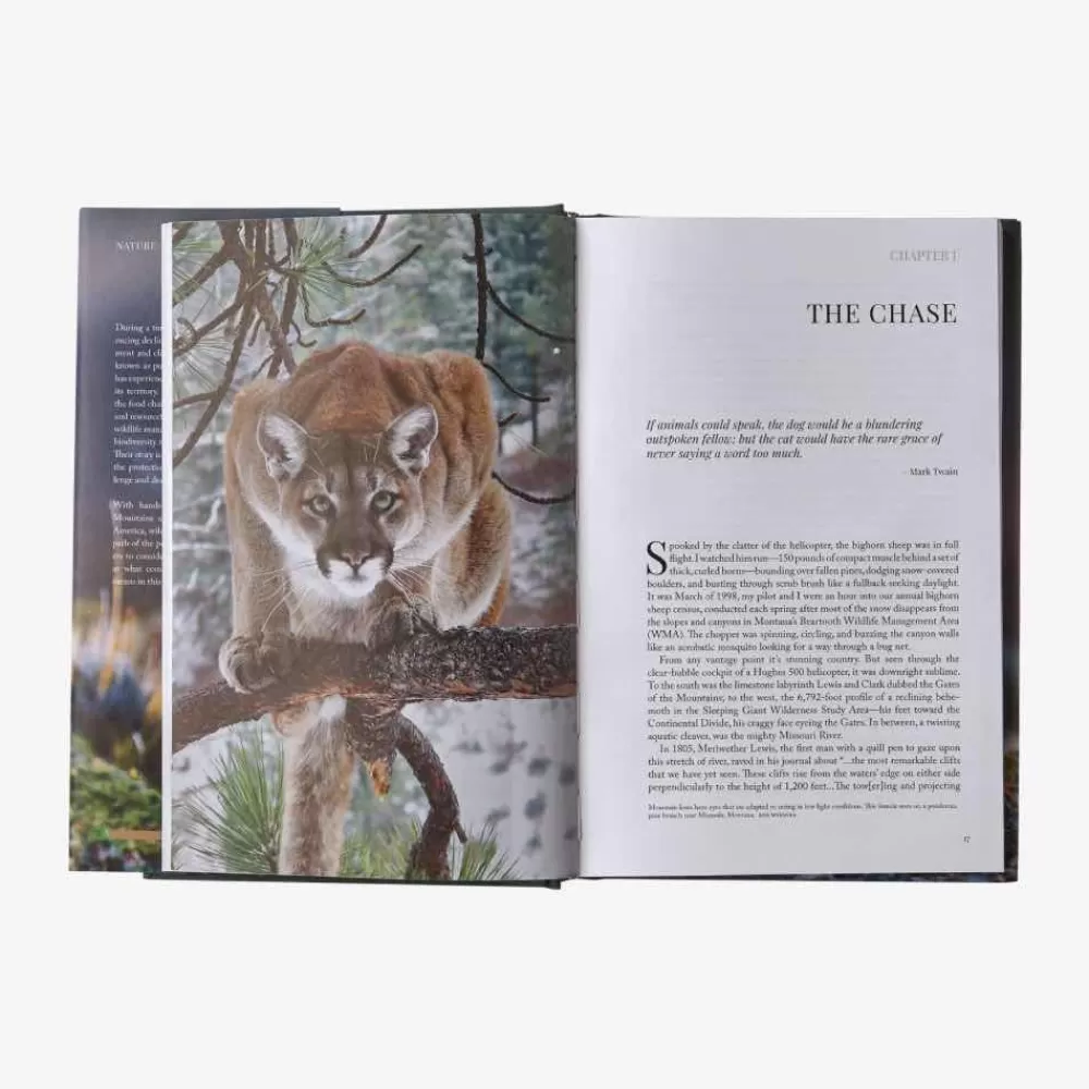 Hot Path Of The Puma: The Remarkable Resilience Of The Mountain Lion Kirjat Ja Oppaat